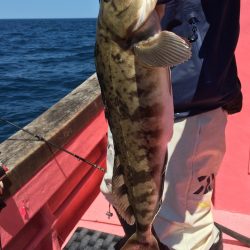 第八平成丸 釣果