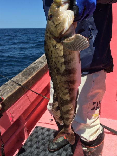 第八平成丸 釣果