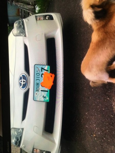 第八平成丸 釣果