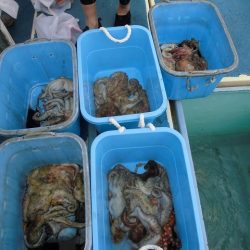 十八宝洋丸 釣果