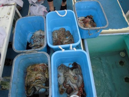 十八宝洋丸 釣果