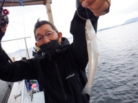 遊漁船 幸友丸 釣果