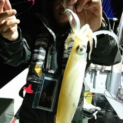 海龍丸（福岡） 釣果
