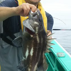 モンロー号 釣果