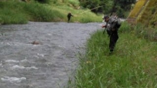 大井川（大井川(非)漁業協同組合） 釣果