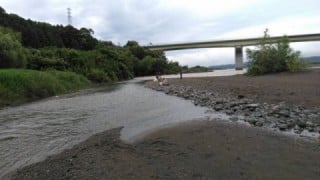 大井川(大井川(非)漁業協同組合) 釣果