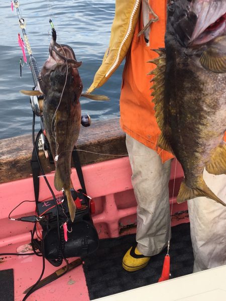 第八平成丸 釣果