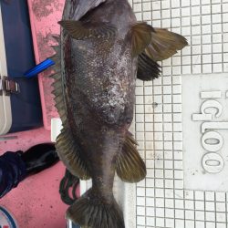 第八平成丸 釣果