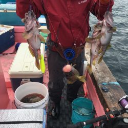 第八平成丸 釣果