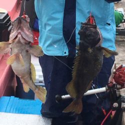 第八平成丸 釣果