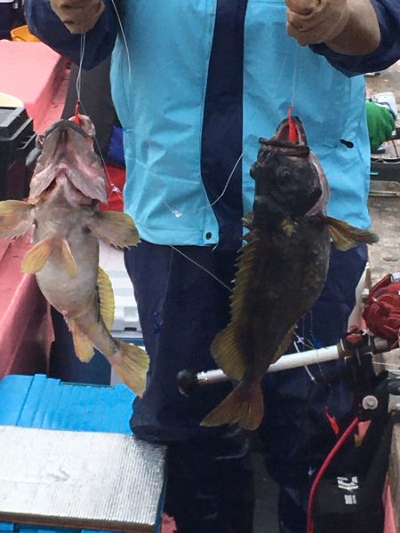 第八平成丸 釣果