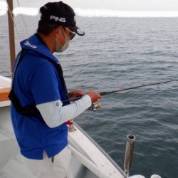 遊漁船 幸友丸 釣果