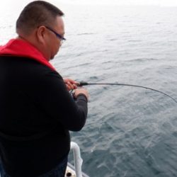 遊漁船 幸友丸 釣果