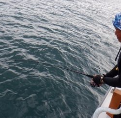 遊漁船 幸友丸 釣果