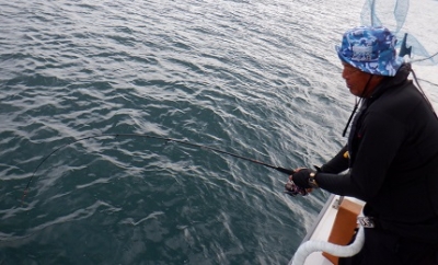 遊漁船 幸友丸 釣果