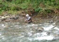 大井川(大井川(非)漁業協同組合) 釣果