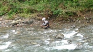 大井川(大井川(非)漁業協同組合) 釣果