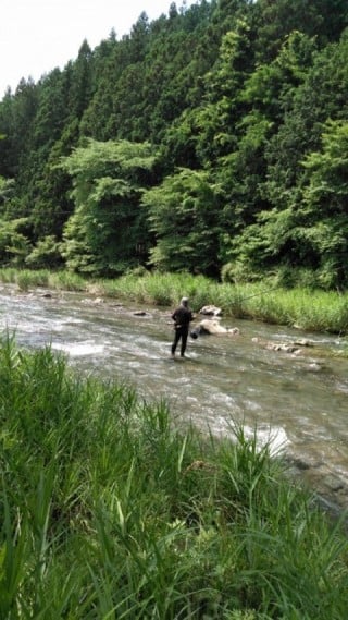 大井川（大井川(非)漁業協同組合） 釣果