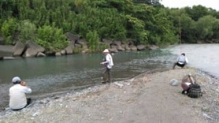 大井川（大井川(非)漁業協同組合） 釣果