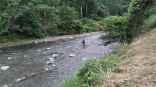 大井川(大井川(非)漁業協同組合) 釣果