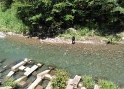 大井川(大井川(非)漁業協同組合) 釣果