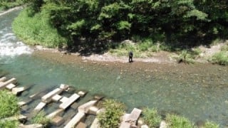 大井川(大井川(非)漁業協同組合) 釣果