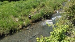 大井川(大井川(非)漁業協同組合) 釣果