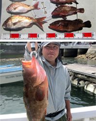 来温丸(らいおんまる) 釣果