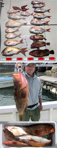 来温丸（らいおんまる） 釣果