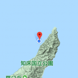 第八平成丸 釣果