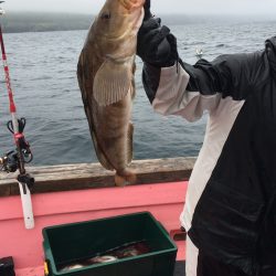 第八平成丸 釣果