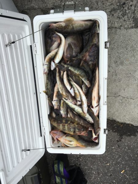 第八平成丸 釣果