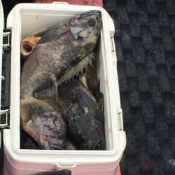 第八平成丸 釣果