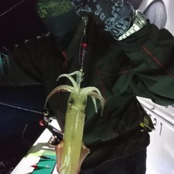 海龍丸(福岡) 釣果