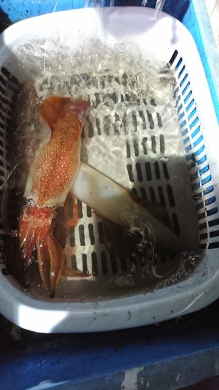 海龍丸(福岡) 釣果