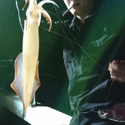 海龍丸(福岡) 釣果