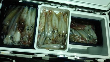 海龍丸(福岡) 釣果