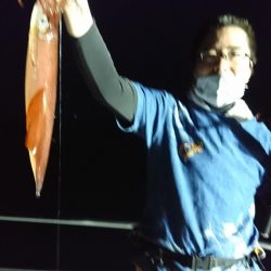 海龍丸（福岡） 釣果