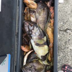 第八平成丸 釣果