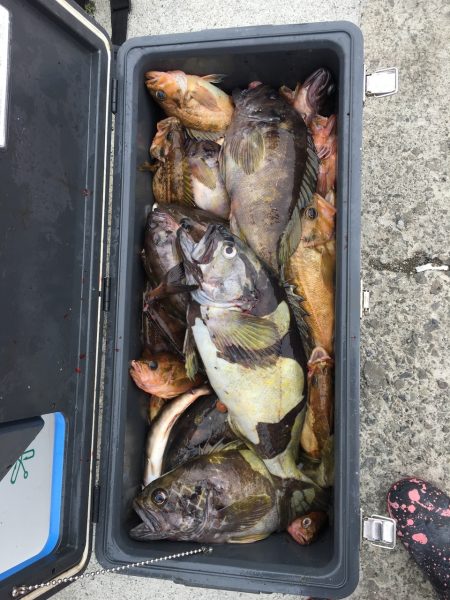 第八平成丸 釣果