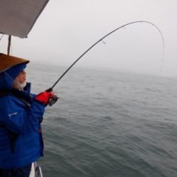 遊漁船 幸友丸 釣果