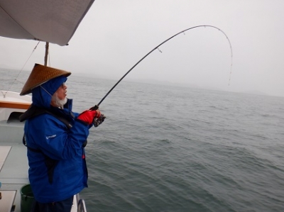 遊漁船 幸友丸 釣果