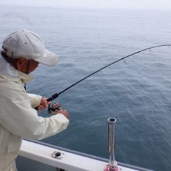 遊漁船 幸友丸 釣果