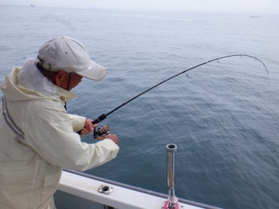 遊漁船 幸友丸 釣果