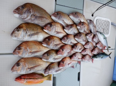 遊漁船 幸友丸 釣果