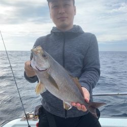 マタウマリンサービス 釣果