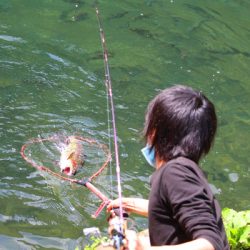 小菅トラウトガーデン 釣果