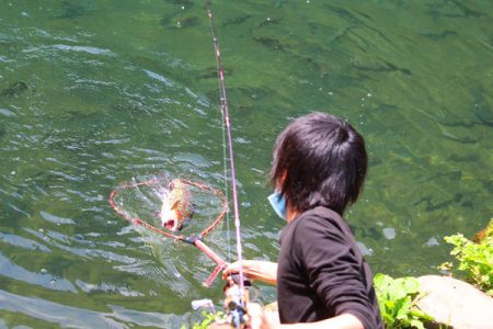 小菅トラウトガーデン 釣果