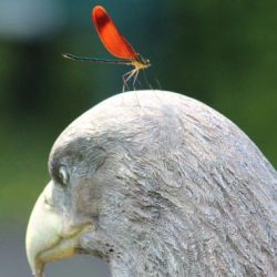 小菅トラウトガーデン 釣果