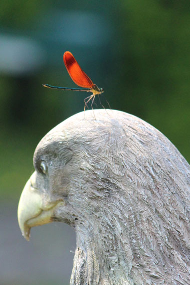 小菅トラウトガーデン 釣果